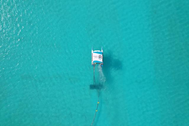 Remeros Beach | Árboris